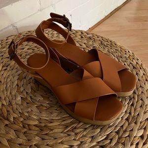 Everlane brown leather clog sandals